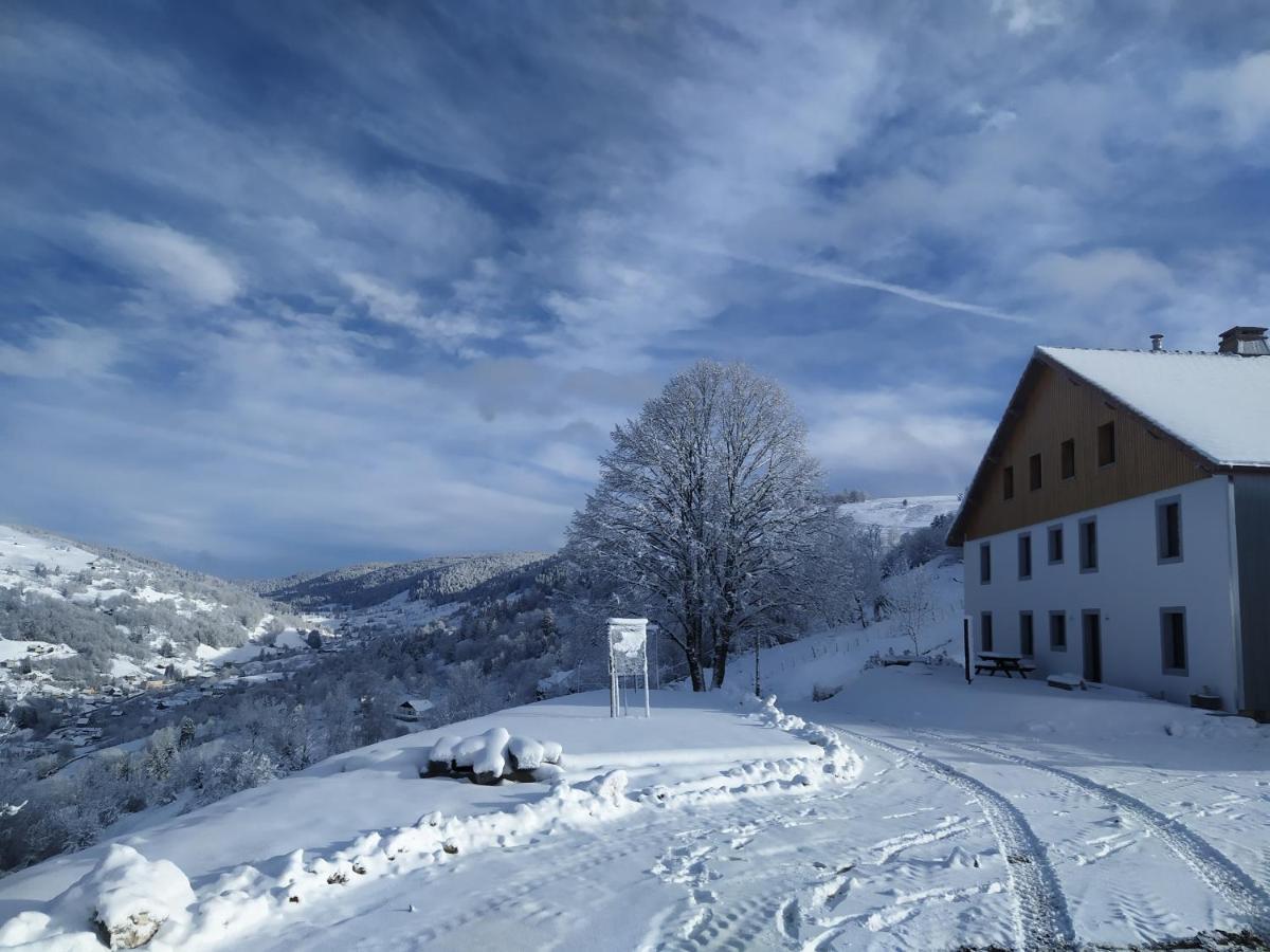 Gites De Moyenmont La Bresse Eksteriør billede