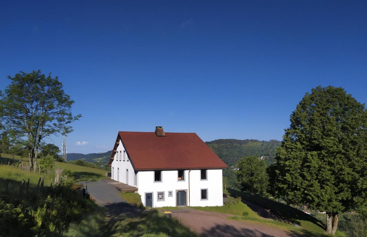 Gites De Moyenmont La Bresse Eksteriør billede